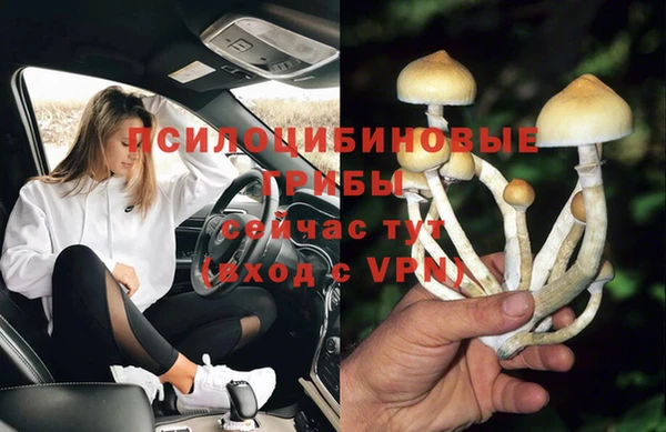 apvp Остров