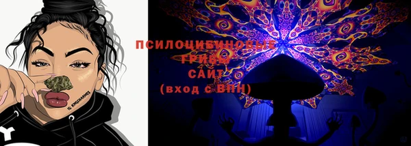 ALPHA PVP Осинники