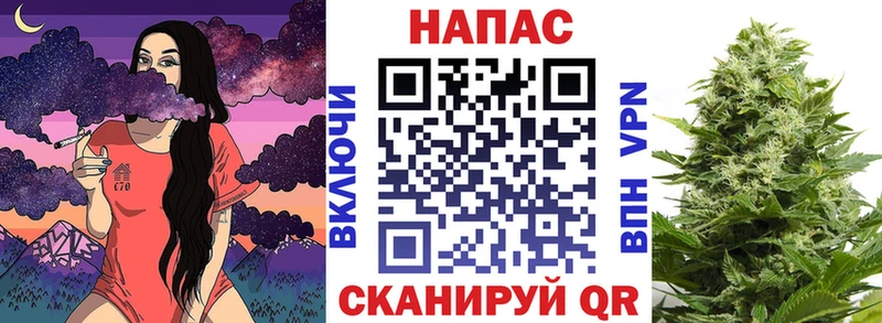 Марихуана план  Нариманов 